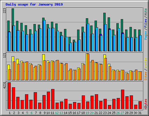 Daily usage for January 2019