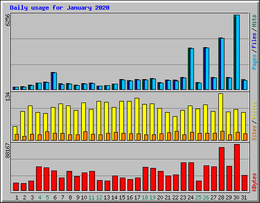Daily usage for January 2020