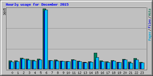 Hourly usage for December 2015