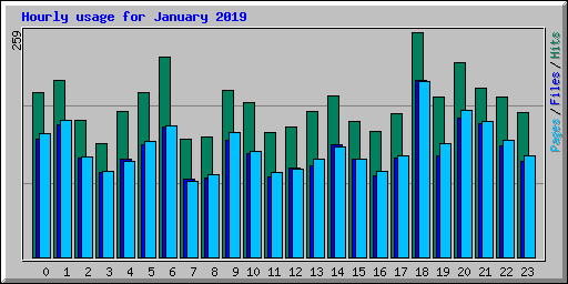 Hourly usage for January 2019