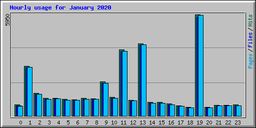 Hourly usage for January 2020