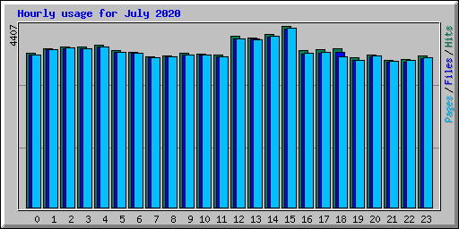 Hourly usage for July 2020